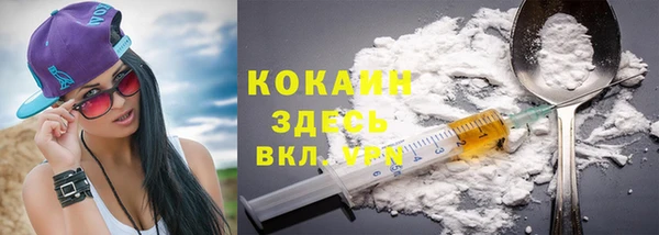 сатива Баксан