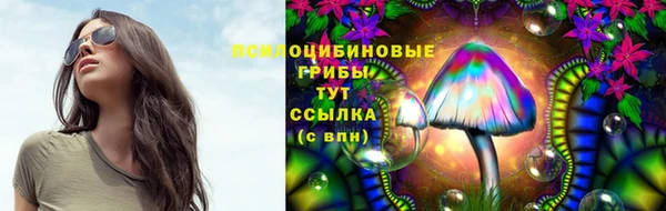 гидропоника Балахна