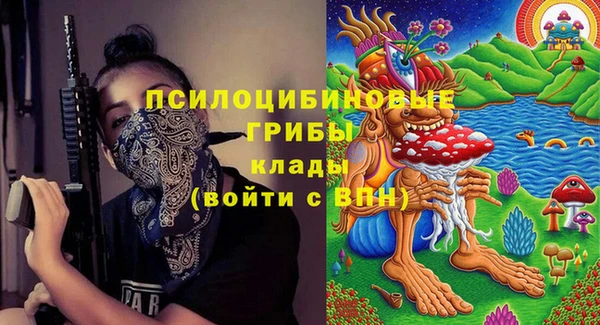 сатива Баксан